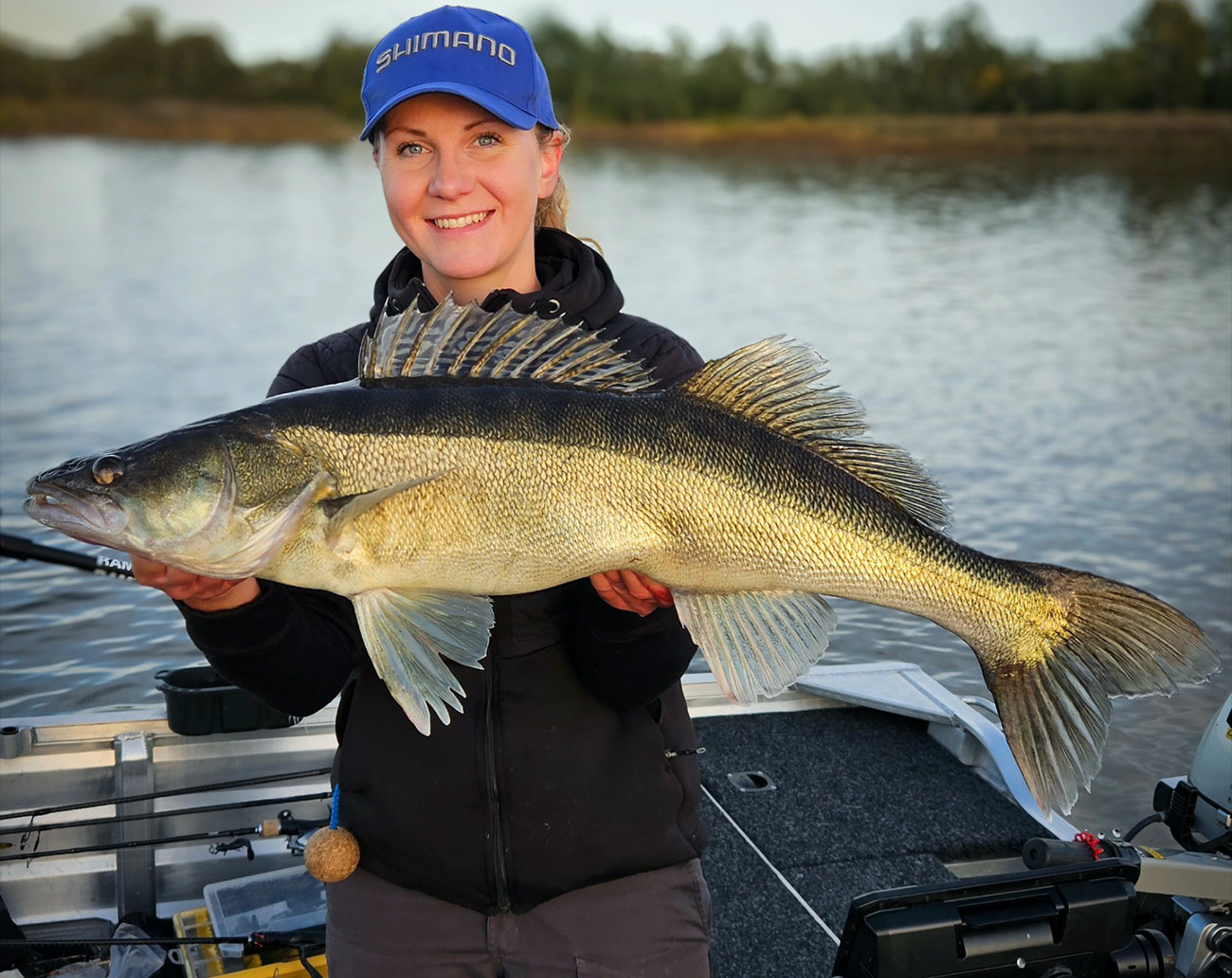 HMKL K-IV Minnow Suspending